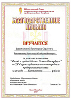 Appreciation letter from the Small Business Development Public Council of the Governor of St. Petersburg, received for participation the XV Small and Medium Enterprises