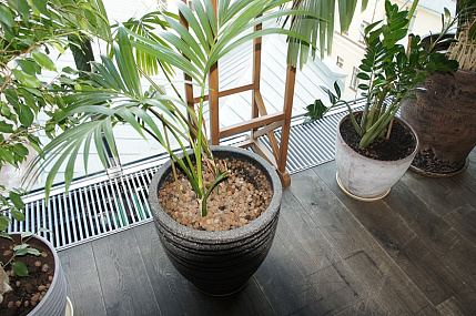 Внутрипольные конвекторы – в тренде среди приборов отопления